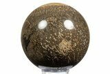 Polished Petrified Palmwood (Palmoxylon) Sphere - Myanmar #311713-1